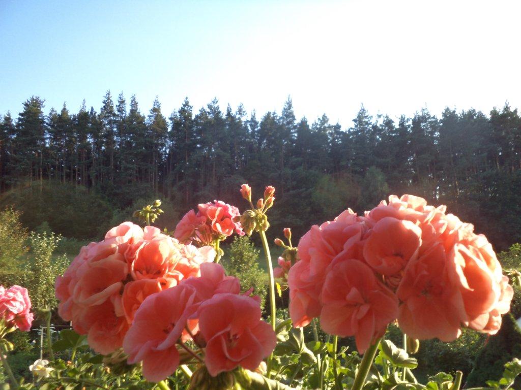 Hradec u Stodu (chat.os.Babylon)